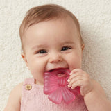 *NEW* Cutie Coolers™ Bow