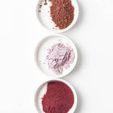 Egg Coloring & Seed Growing Kit - DIY Easter/Spring Craft