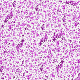 Glitter Gel Display – 24 Glitter Gels - Wholesale: Default Title